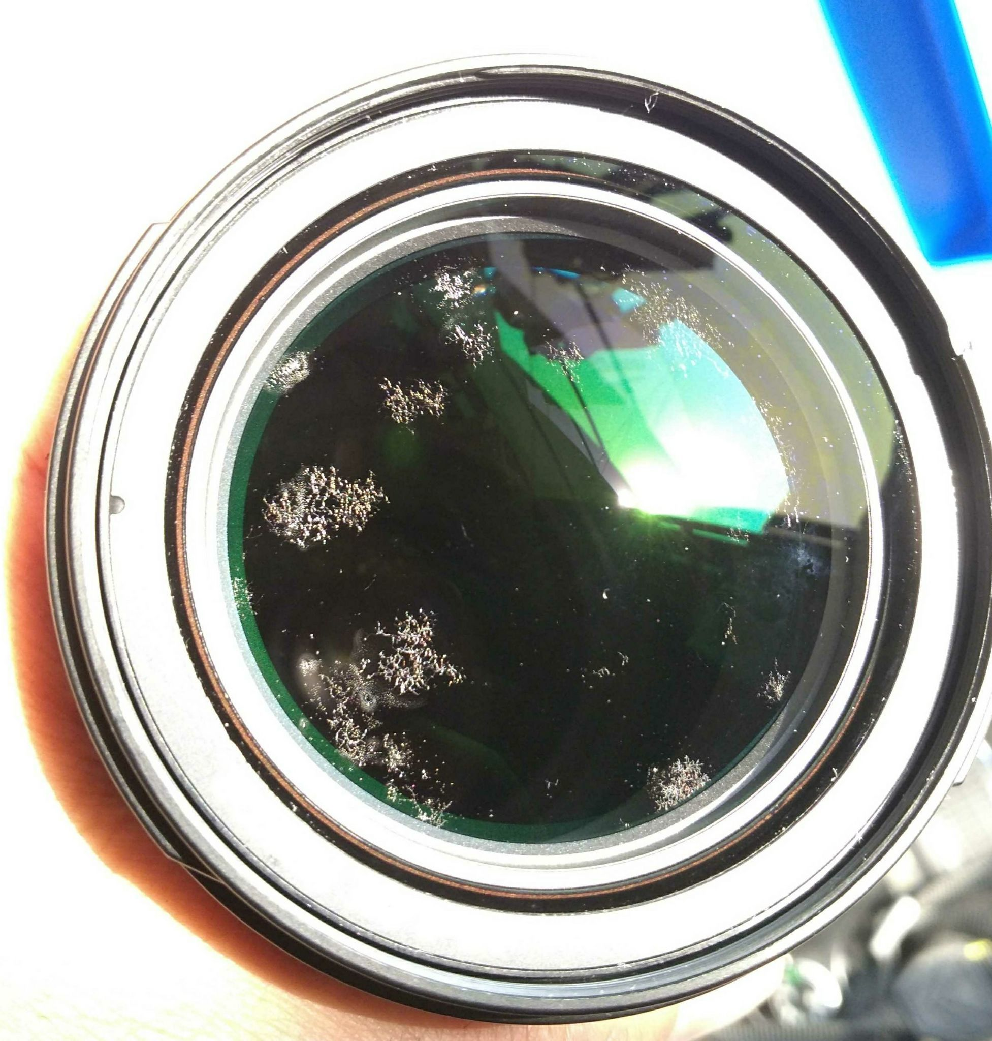 是時候給你的鏡頭配備個鏡頭防潮柜了(圖3) 鏡頭發霉